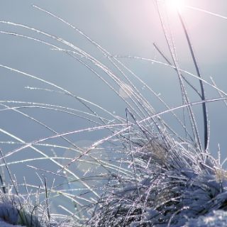 winterliches sylt